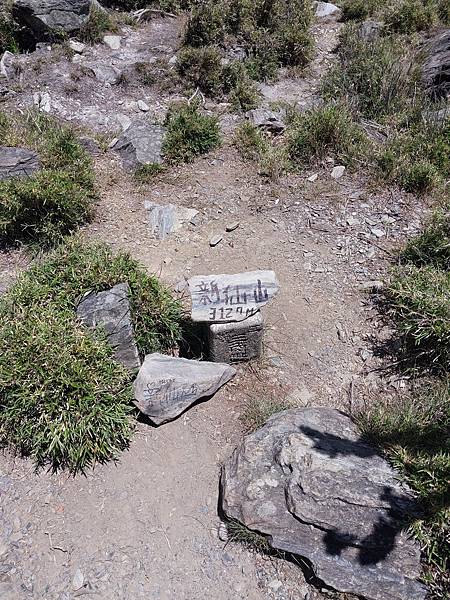 新康山、布拉克桑山~未完待續的新康+補課~錦毛鼠 百岳行