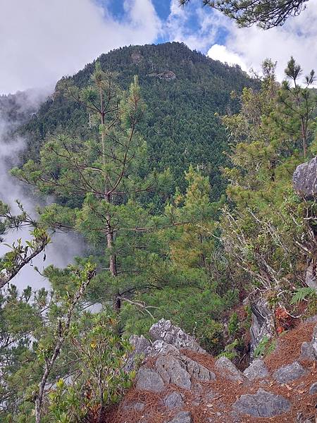 新康山、布拉克桑山~未完待續的新康+補課~錦毛鼠 百岳行