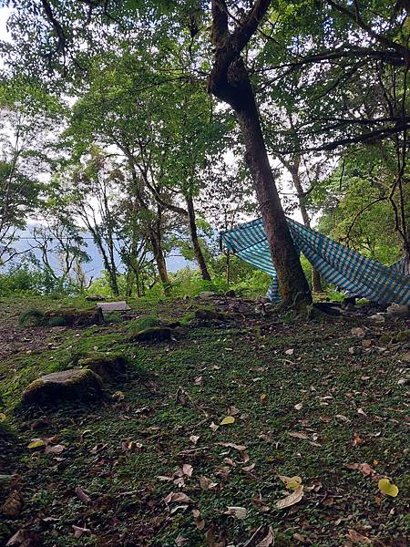 新康山、布拉克桑山~未完待續的新康+補課~錦毛鼠 百岳行