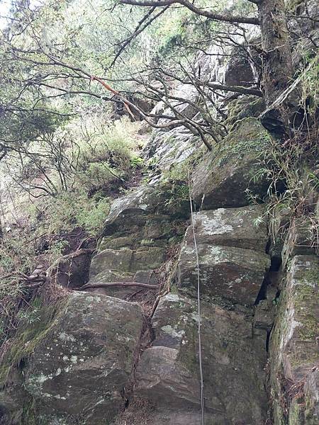 新康山、布拉克桑山~未完待續的新康+補課~錦毛鼠 百岳行