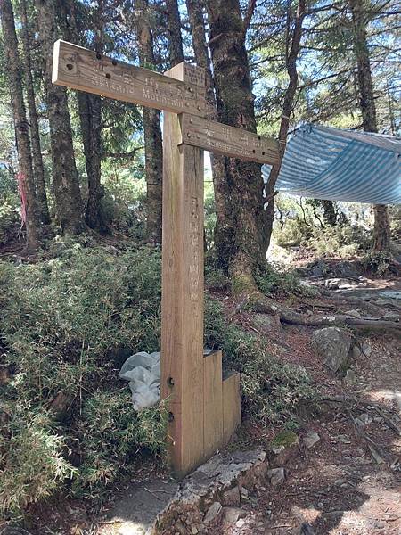 新康山、布拉克桑山~未完待續的新康+補課~錦毛鼠 百岳行