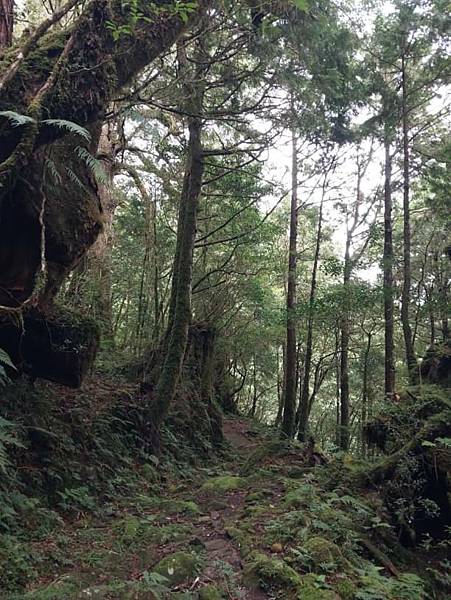 巴福越嶺古道 巴陵-烏來 巴福越嶺古道 巴陵-烏來