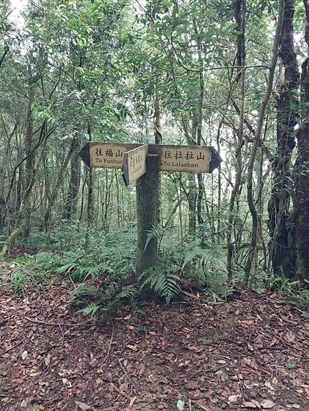 巴福越嶺古道 巴陵-烏來 巴福越嶺古道 巴陵-烏來