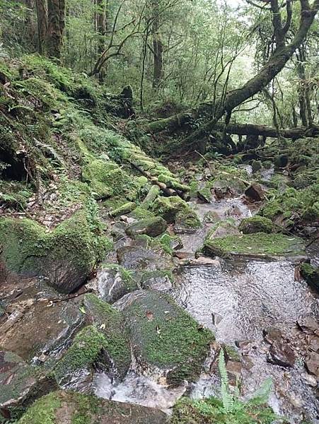 巴福越嶺古道 巴陵-烏來 巴福越嶺古道 巴陵-烏來