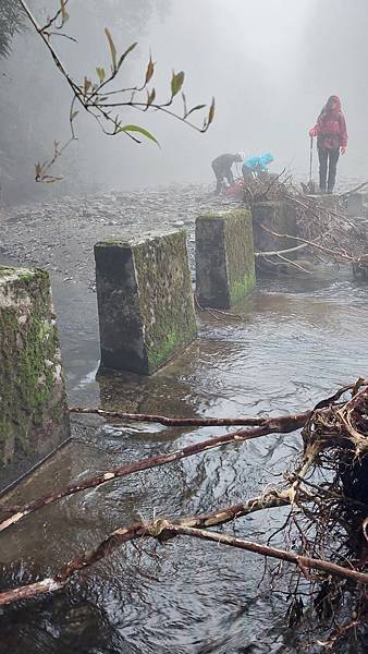 南三段 笑中帶淚的野蠻遊戲10日行~錦毛鼠 百岳行