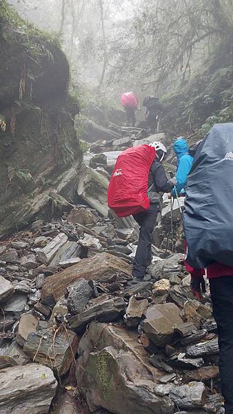 南三段 笑中帶淚的野蠻遊戲10日行~錦毛鼠 百岳行