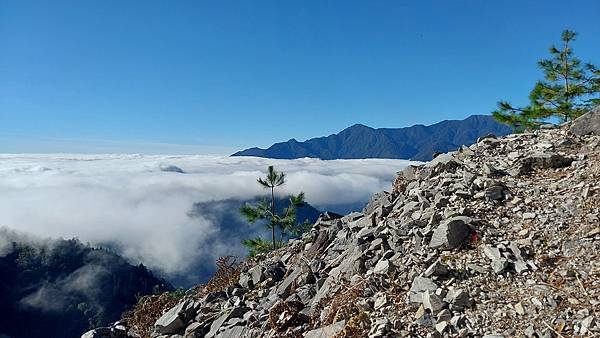 南三段 笑中帶淚的野蠻遊戲10日行~錦毛鼠 百岳行