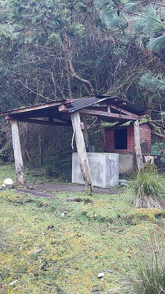 南三段 笑中帶淚的野蠻遊戲10日行~錦毛鼠 百岳行