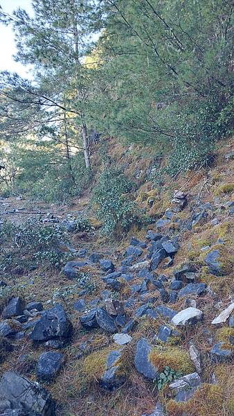 南三段 笑中帶淚的野蠻遊戲10日行~錦毛鼠 百岳行