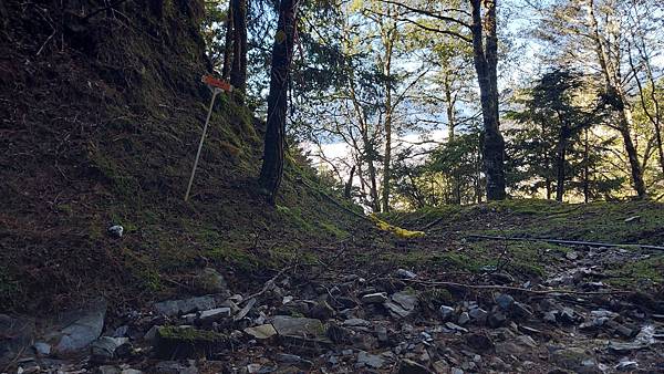 南三段 笑中帶淚的野蠻遊戲10日行~錦毛鼠 百岳行
