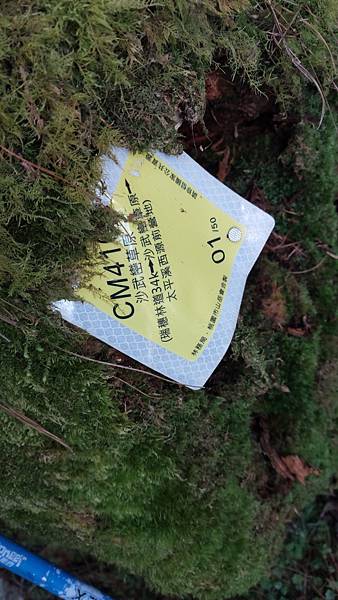 南三段 笑中帶淚的野蠻遊戲10日行~錦毛鼠 百岳行