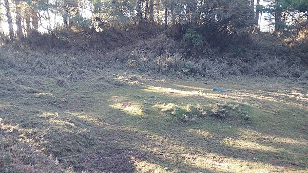 南三段 笑中帶淚的野蠻遊戲10日行~錦毛鼠 百岳行