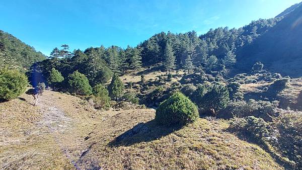 南三段 笑中帶淚的野蠻遊戲10日行~錦毛鼠 百岳行