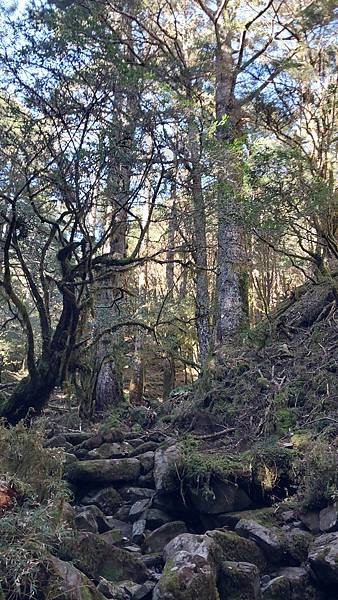 南三段 笑中帶淚的野蠻遊戲10日行~錦毛鼠 百岳行