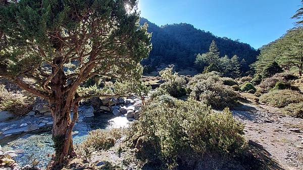 南三段 笑中帶淚的野蠻遊戲10日行~錦毛鼠 百岳行