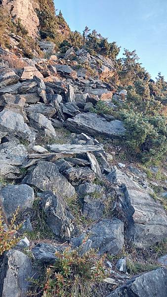 南三段 笑中帶淚的野蠻遊戲10日行~錦毛鼠 百岳行