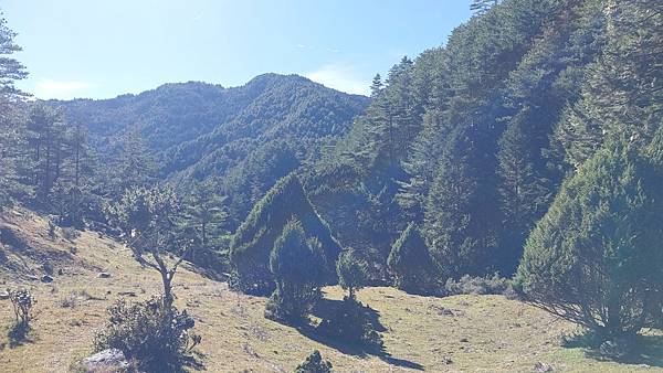 南三段 笑中帶淚的野蠻遊戲10日行~錦毛鼠 百岳行