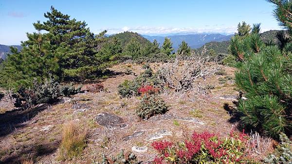 南三段 笑中帶淚的野蠻遊戲10日行~錦毛鼠 百岳行