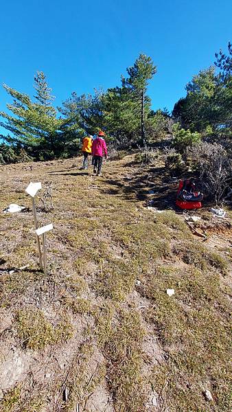 南三段 笑中帶淚的野蠻遊戲10日行~錦毛鼠 百岳行