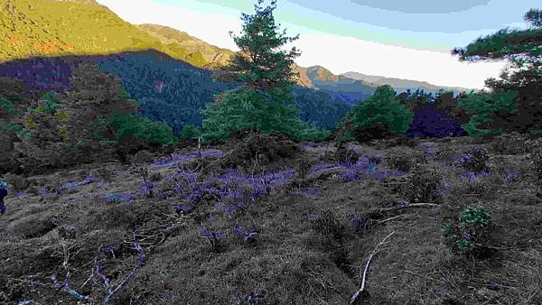 南三段 笑中帶淚的野蠻遊戲10日行~錦毛鼠 百岳行