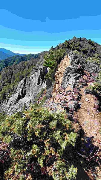 南三段 笑中帶淚的野蠻遊戲10日行~錦毛鼠 百岳行