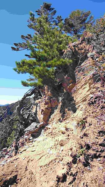 南三段 笑中帶淚的野蠻遊戲10日行~錦毛鼠 百岳行