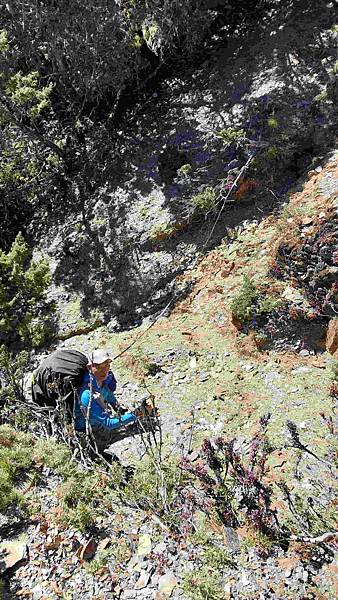 南三段 笑中帶淚的野蠻遊戲10日行~錦毛鼠 百岳行