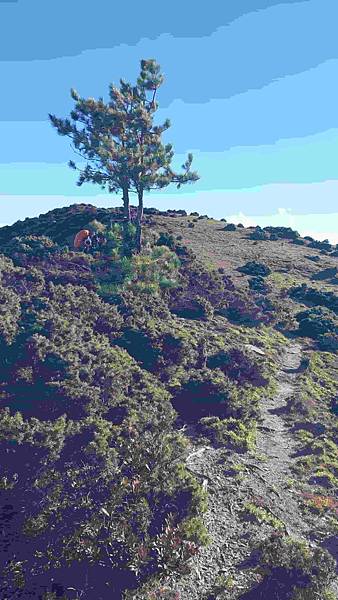 南三段 笑中帶淚的野蠻遊戲10日行~錦毛鼠 百岳行