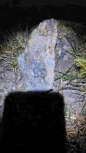 南三段 笑中帶淚的野蠻遊戲10日行~錦毛鼠 百岳行