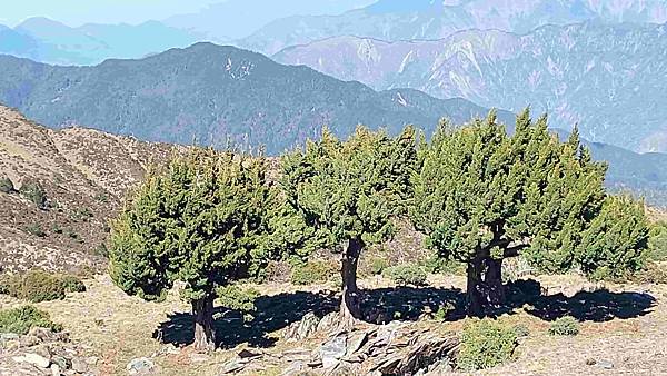 南三段 笑中帶淚的野蠻遊戲10日行~錦毛鼠 百岳行