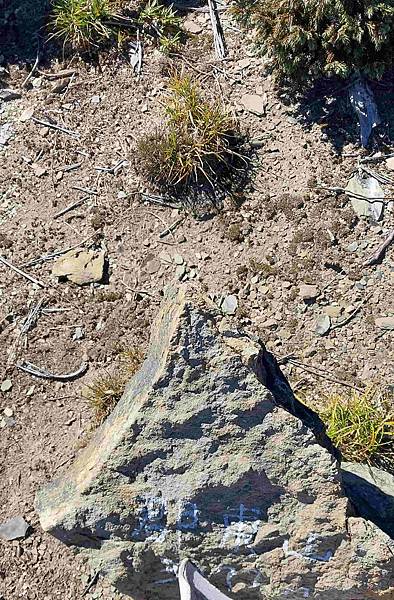 南三段 笑中帶淚的野蠻遊戲10日行~錦毛鼠 百岳行