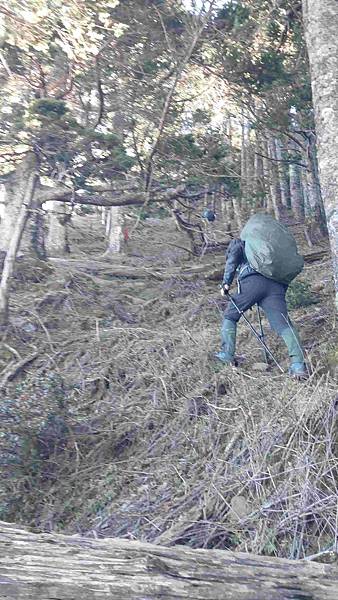 南三段 笑中帶淚的野蠻遊戲10日行~錦毛鼠 百岳行