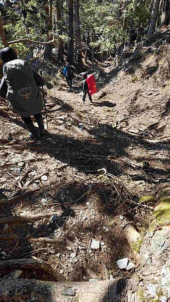南三段 笑中帶淚的野蠻遊戲10日行~錦毛鼠 百岳行