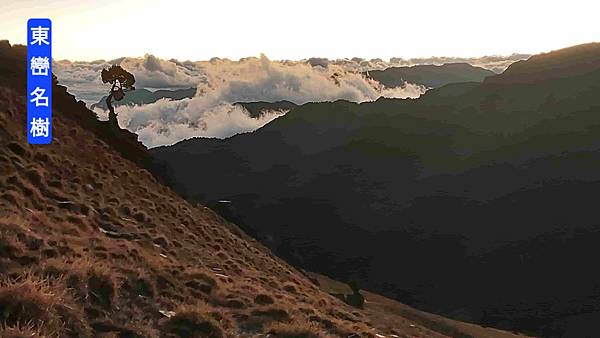 南三段 笑中帶淚的野蠻遊戲10日行~錦毛鼠 百岳行