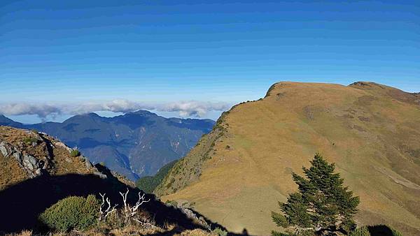 南三段 笑中帶淚的野蠻遊戲10日行~錦毛鼠 百岳行