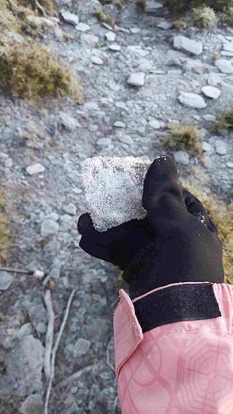 南三段 笑中帶淚的野蠻遊戲10日行~錦毛鼠 百岳行