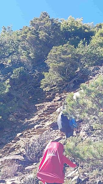 南三段 笑中帶淚的野蠻遊戲10日行~錦毛鼠 百岳行