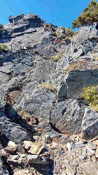 南三段 笑中帶淚的野蠻遊戲10日行~錦毛鼠 百岳行