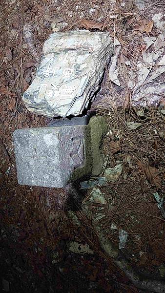 南三段 笑中帶淚的野蠻遊戲10日行~錦毛鼠 百岳行