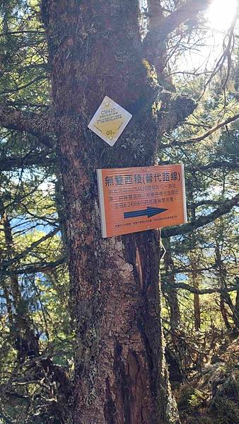 南三段 笑中帶淚的野蠻遊戲10日行~錦毛鼠 百岳行