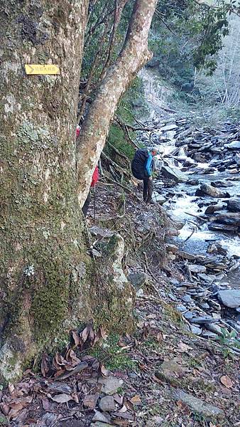 南三段 笑中帶淚的野蠻遊戲10日行~錦毛鼠 百岳行