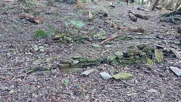 南三段 笑中帶淚的野蠻遊戲10日行~錦毛鼠 百岳行