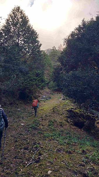 南三段 笑中帶淚的野蠻遊戲10日行~錦毛鼠 百岳行