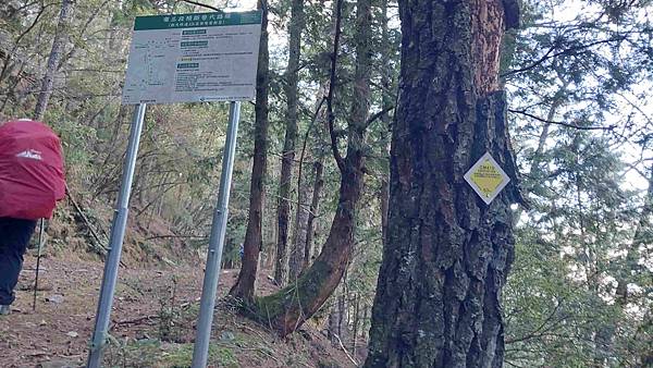 南三段 笑中帶淚的野蠻遊戲10日行~錦毛鼠 百岳行