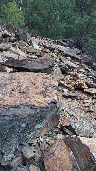 南三段 笑中帶淚的野蠻遊戲10日行~錦毛鼠 百岳行
