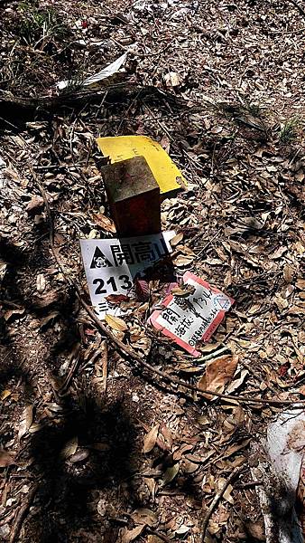 南三段 笑中帶淚的野蠻遊戲10日行~錦毛鼠 百岳行