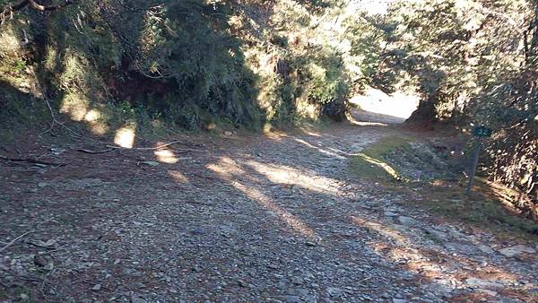 南三段 笑中帶淚的野蠻遊戲10日行~錦毛鼠 百岳行