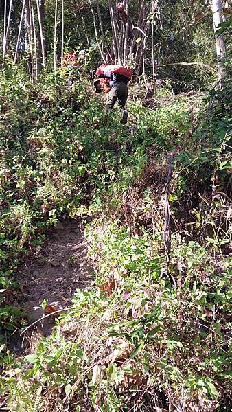 南三段 笑中帶淚的野蠻遊戲10日行~錦毛鼠 百岳行