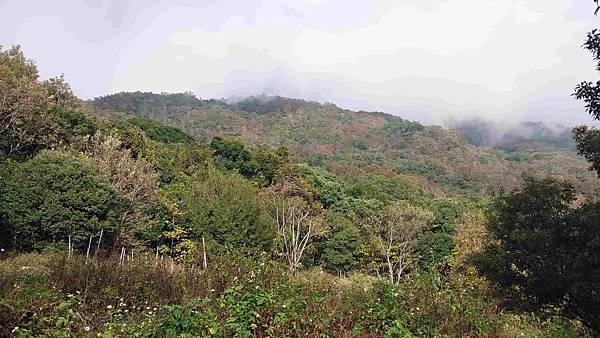 南三段 笑中帶淚的野蠻遊戲10日行~錦毛鼠 百岳行