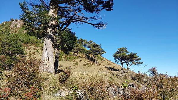 馬博橫斷 百岳行的最後一課~錦毛鼠 百岳行